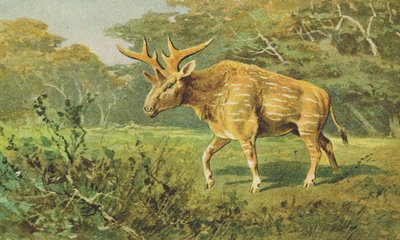 Sivatherium by Alfred Brehm